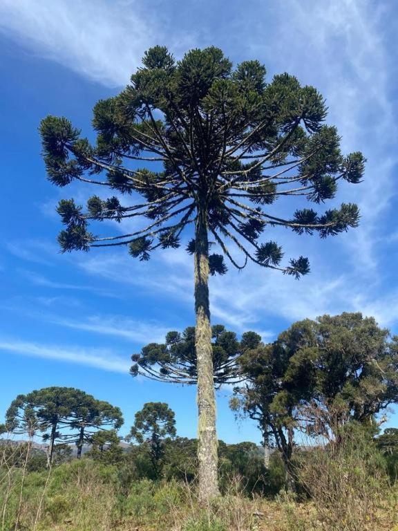 Recanto Luz da Serra Urubici Esterno foto